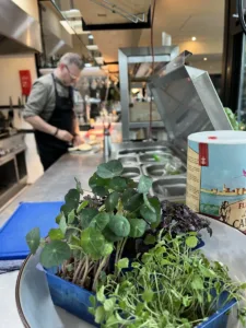 Restaurant Smuk Katlijk 88