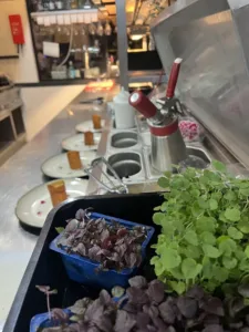 Restaurant Smuk Katlijk 16